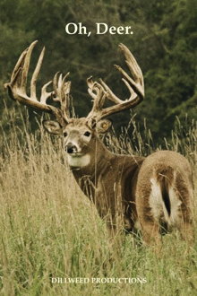 oh, deer.