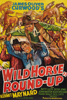 wild horse round-up