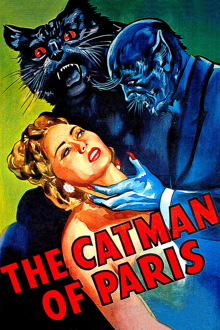 the catman of paris