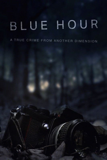 blue hour: the disappearance of nick brandreth