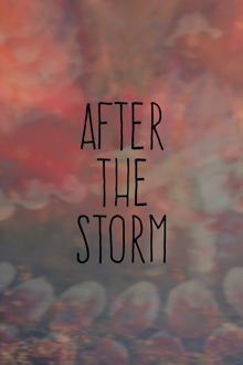after the storm