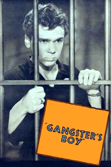 gangster's boy