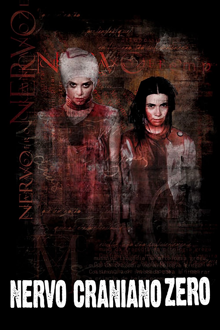 nervo craniano zero