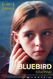 bluebird