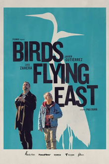 birds flying east