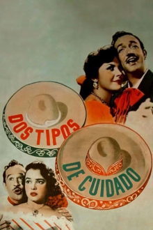 dos tipos de cuidado