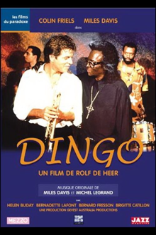 dingo