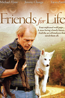 friends for life