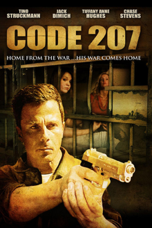 code 207