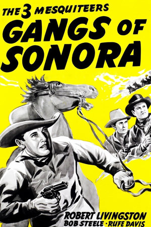 gangs of sonora
