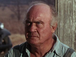 dub taylor