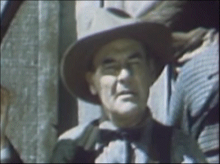 hal price