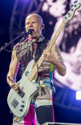 flea