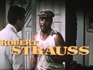 robert strauss