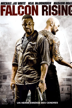 falcon rising