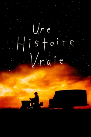 vignette