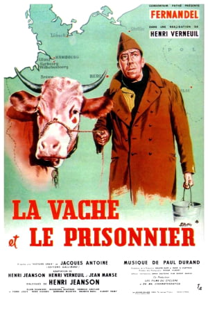 vignette