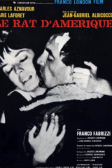 le rat d'amérique