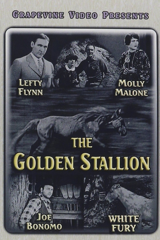 the golden stallion