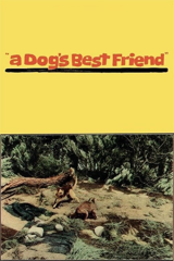 a dog's best friend