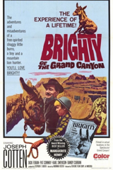 brighty of the grand canyon