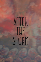 after the storm