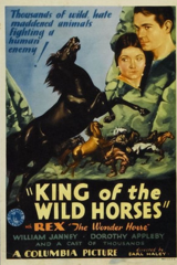 king of the wild horses