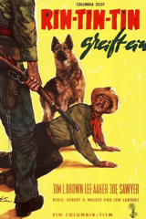 the challenge of rin tin tin