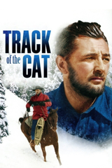 track of the cat