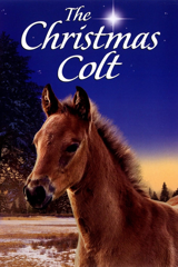 the christmas colt