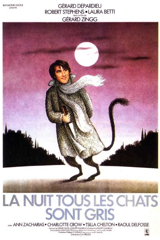 la nuit, tous les chats sont gris