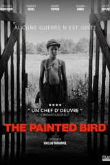 the painted bird