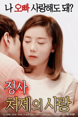 an affair: my sister-in-law's love