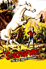 snowfire