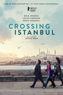Crossing Istanbul