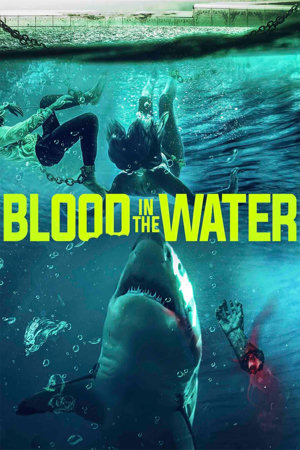 blood in the water