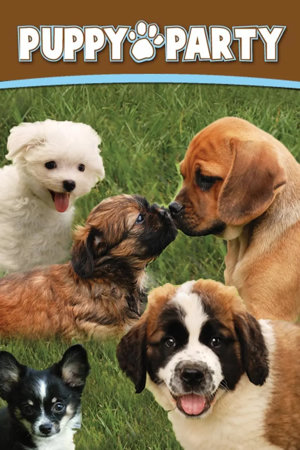 puppy party