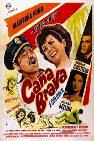 caña brava