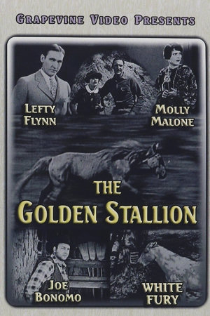 the golden stallion