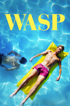 wasp
