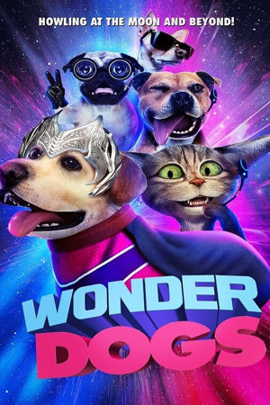 wonder dogs