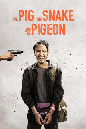 the pig, the snake and the pigeon
