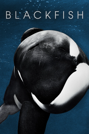 blackfish