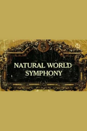 symphony
