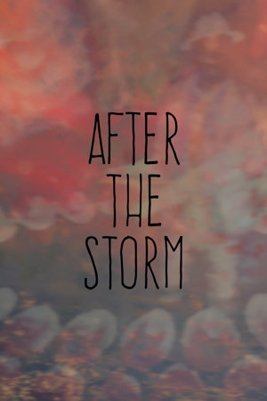 after the storm