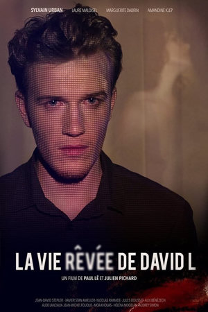 la vie rêvée de david l