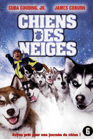 Chiens des neiges