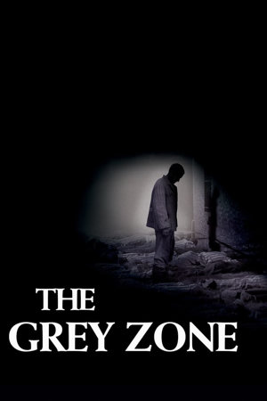 the grey zone
