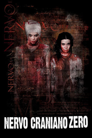 nervo craniano zero