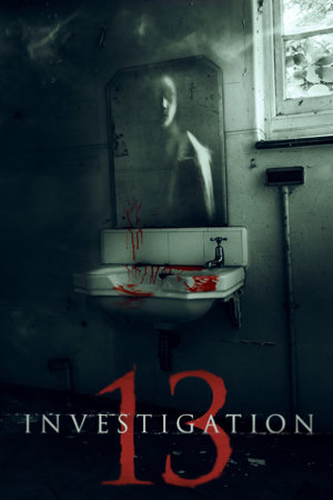 investigation 13